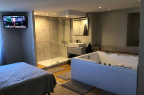 Nid d’amour- SPA- Superbe appartement avec jacuzzi